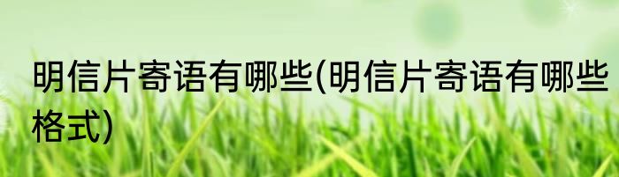 明信片寄语有哪些(明信片寄语有哪些格式)