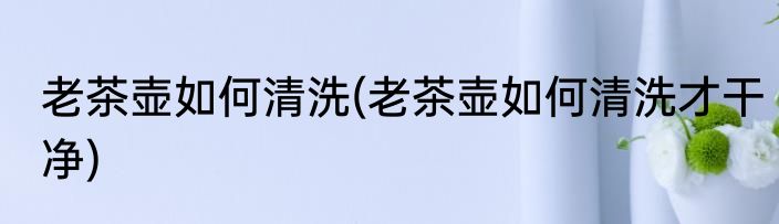 老茶壶如何清洗(老茶壶如何清洗才干净)