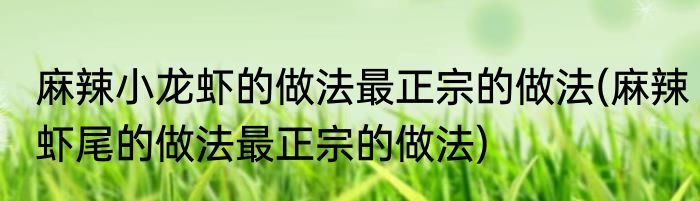 麻辣小龙虾的做法最正宗的做法(麻辣虾尾的做法最正宗的做法)