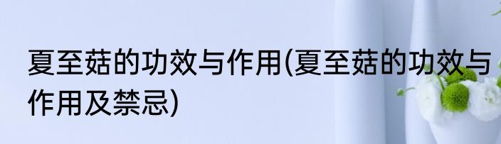 夏至菇的功效与作用(夏至菇的功效与作用及禁忌)