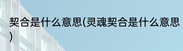 契合是什么意思(灵魂契合是什么意思)