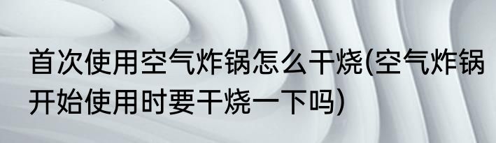 首次使用空气炸锅怎么干烧(空气炸锅开始使用时要干烧一下吗)