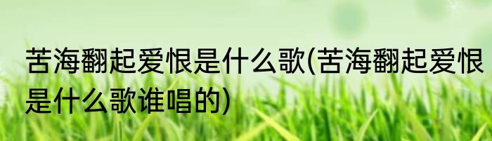 苦海翻起爱恨是什么歌(苦海翻起爱恨是什么歌谁唱的)