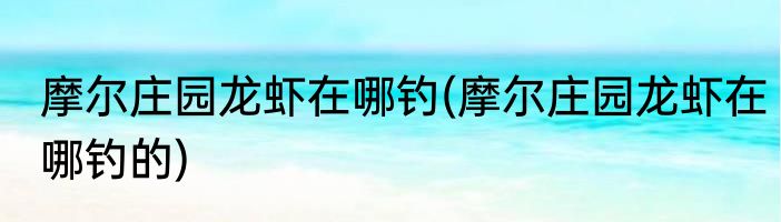 摩尔庄园龙虾在哪钓(摩尔庄园龙虾在哪钓的)