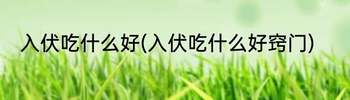 入伏吃什么好(入伏吃什么好窍门)