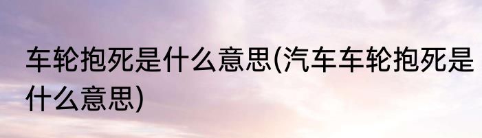 车轮抱死是什么意思(汽车车轮抱死是什么意思)