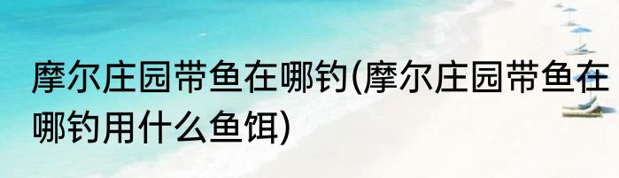 摩尔庄园怎么才能钓到河童兽(摩尔庄园怎么才能钓到河童兽鱼)