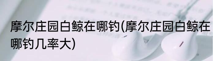 摩尔庄园白鲸在哪钓(摩尔庄园白鲸在哪钓几率大)