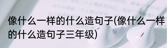 像什么一样的什么造句子(像什么一样的什么造句子三年级)