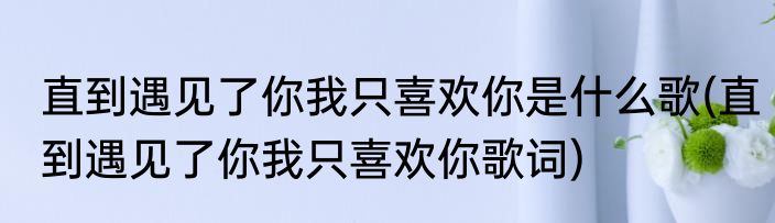 直到遇见了你我只喜欢你是什么歌(直到遇见了你我只喜欢你歌词)