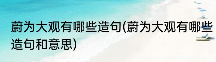 蔚为大观有哪些造句(蔚为大观有哪些造句和意思)