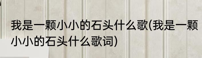 我是一颗小小的石头什么歌(我是一颗小小的石头什么歌词)