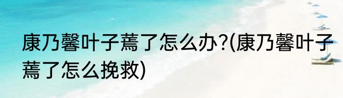 康乃馨叶子蔫了怎么办?(康乃馨叶子蔫了怎么挽救)