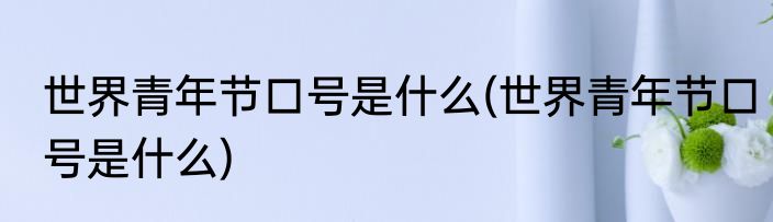 世界青年节口号是什么(世界青年节口号是什么)