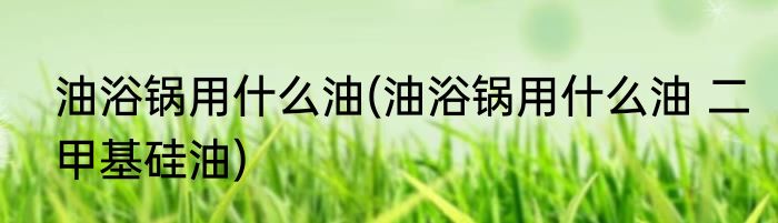 油浴锅用什么油(油浴锅用什么油 二甲基硅油)