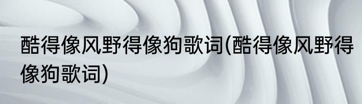 酷得像风野得像狗歌词(酷得像风野得像狗歌词)