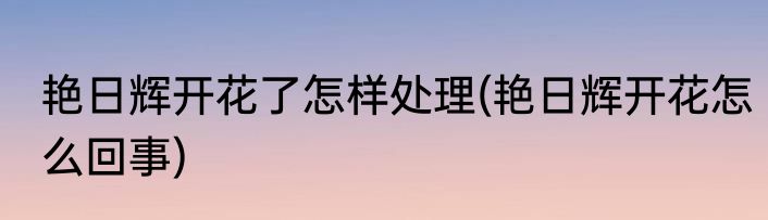 艳日辉开花了怎样处理(艳日辉开花怎么回事)