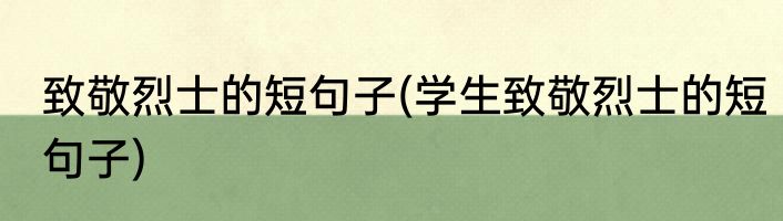 致敬烈士的短句子(学生致敬烈士的短句子)