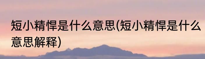 短小精悍是什么意思(短小精悍是什么意思解释)