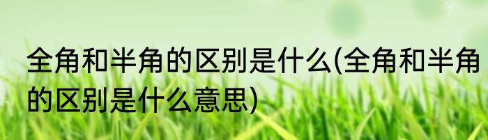 全角和半角的区别是什么(全角和半角的区别是什么意思)
