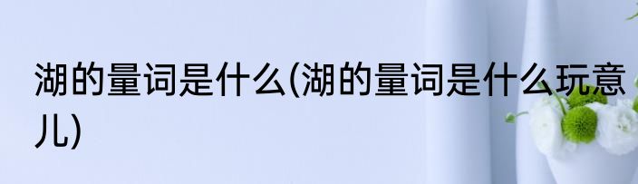 湖的量词是什么(湖的量词是什么玩意儿)