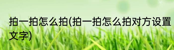 拍一拍怎么拍(拍一拍怎么拍对方设置文字)