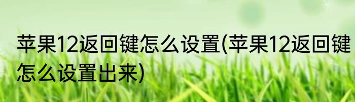 苹果12返回键怎么设置(苹果12返回键怎么设置出来)