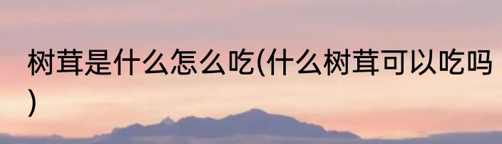 树茸是什么怎么吃(什么树茸可以吃吗)
