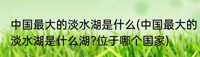中国最大的淡水湖是什么(中国最大的淡水湖是什么湖?位于哪个国家)