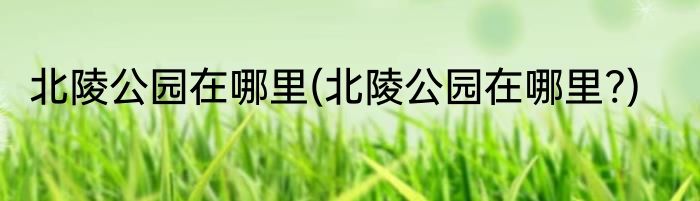 北陵公园在哪里(北陵公园在哪里?)