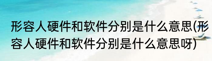 形容人硬件和软件分别是什么意思(形容人硬件和软件分别是什么意思呀)