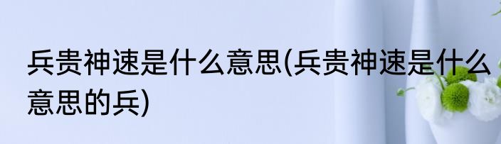 兵贵神速是什么意思(兵贵神速是什么意思的兵)