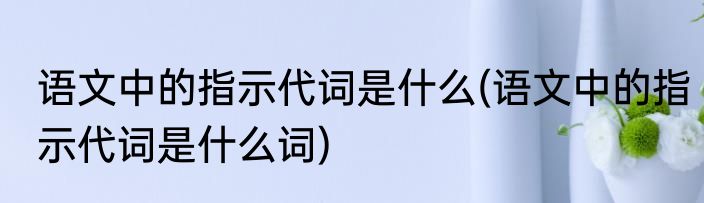 语文中的指示代词是什么(语文中的指示代词是什么词)