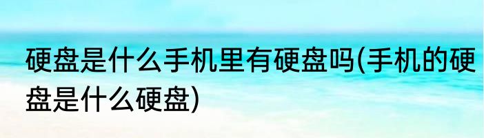 硬盘是什么手机里有硬盘吗(手机的硬盘是什么硬盘)
