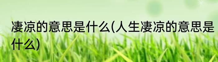 凄凉的意思是什么(人生凄凉的意思是什么)