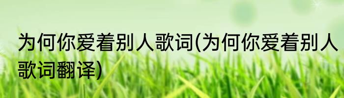为何你爱着别人歌词(为何你爱着别人歌词翻译)