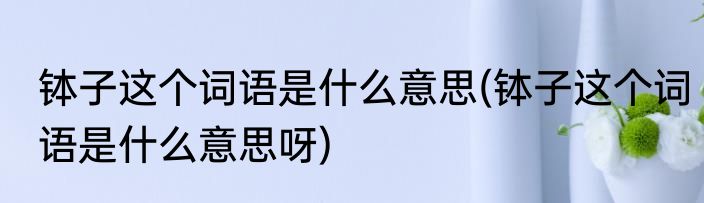钵子这个词语是什么意思(钵子这个词语是什么意思呀)