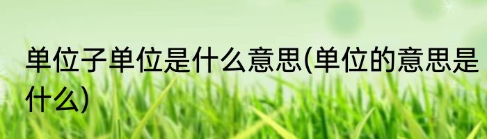 单位子单位是什么意思(单位的意思是什么)
