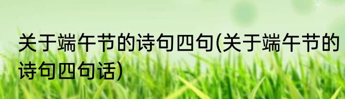 关于端午节的诗句四句(关于端午节的诗句四句话)