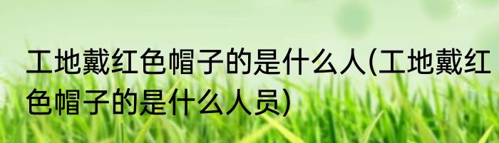 工地戴红色帽子的是什么人(工地戴红色帽子的是什么人员)