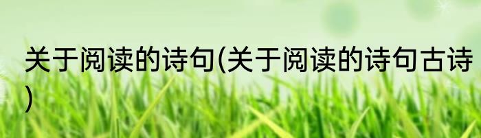 关于阅读的诗句(关于阅读的诗句古诗)