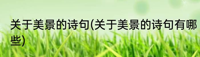 关于美景的诗句(关于美景的诗句有哪些)
