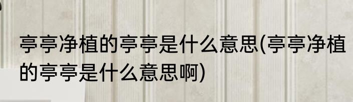 亭亭净植的亭亭是什么意思(亭亭净植的亭亭是什么意思啊)