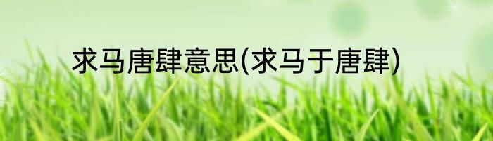 求马唐肆意思(求马于唐肆)