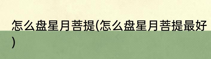 怎么盘星月菩提(怎么盘星月菩提最好)