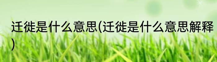 迁徙是什么意思(迁徙是什么意思解释)