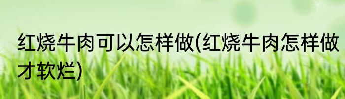 红烧牛肉可以怎样做(红烧牛肉怎样做才软烂)