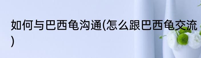 如何与巴西龟沟通(怎么跟巴西龟交流)