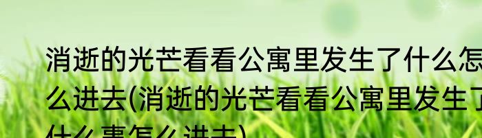 消逝的光芒看看公寓里发生了什么怎么进去(消逝的光芒看看公寓里发生了什么事怎么进去)