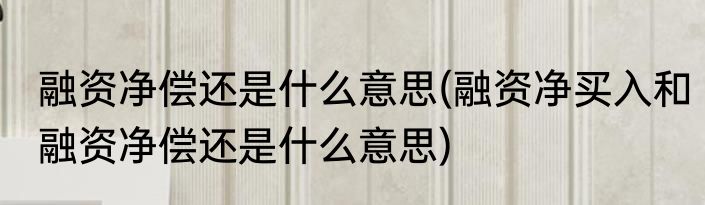 融资净偿还是什么意思(融资净买入和融资净偿还是什么意思)